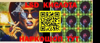 mdpv Новодвинск