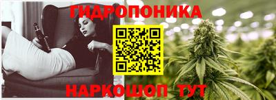 mdpv Новодвинск